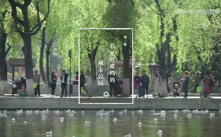 电影纪实72小时.jpg 电影纪实72小时.jpg